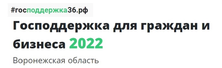 Господдержка для граждан и бизнеса 2022 Воронежская область.