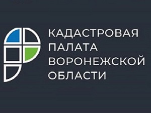 Кадастровая палата проведет для воронежцев горячую линию для дачников.