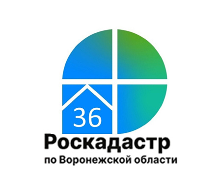 Воронежский Роскадастр подвел итоги 2024 года.